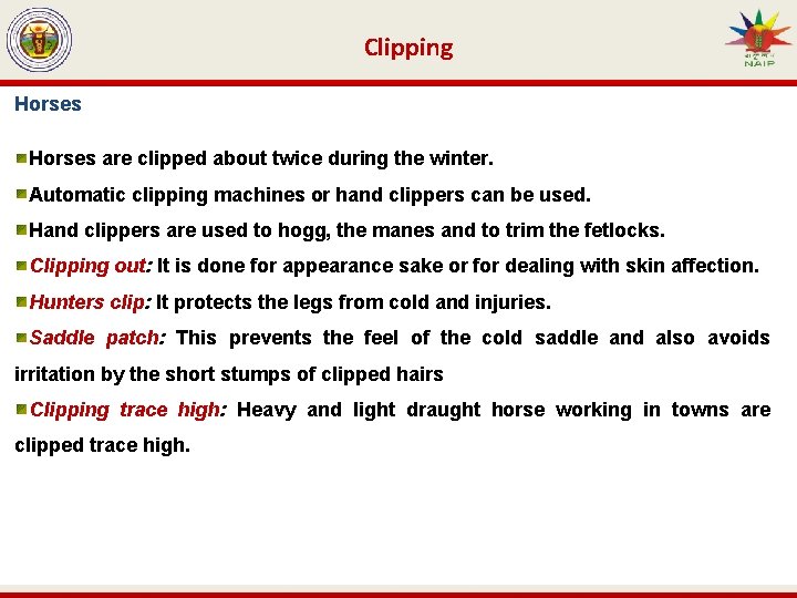 Clipping Horses are clipped about twice during the winter. Automatic clipping machines or hand
