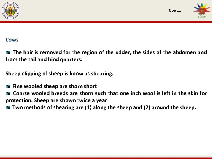 Cont… Cows The hair is removed for the region of the udder, the sides