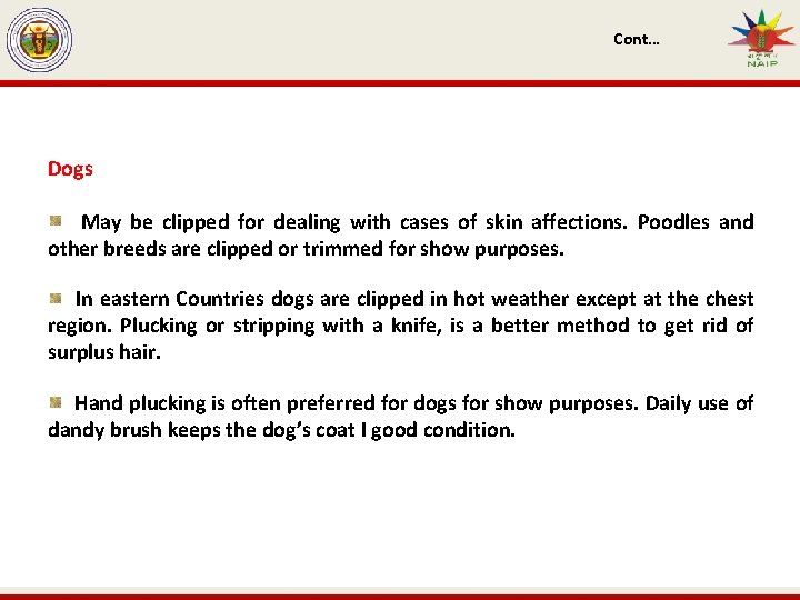 Cont… Dogs May be clipped for dealing with cases of skin affections. Poodles and