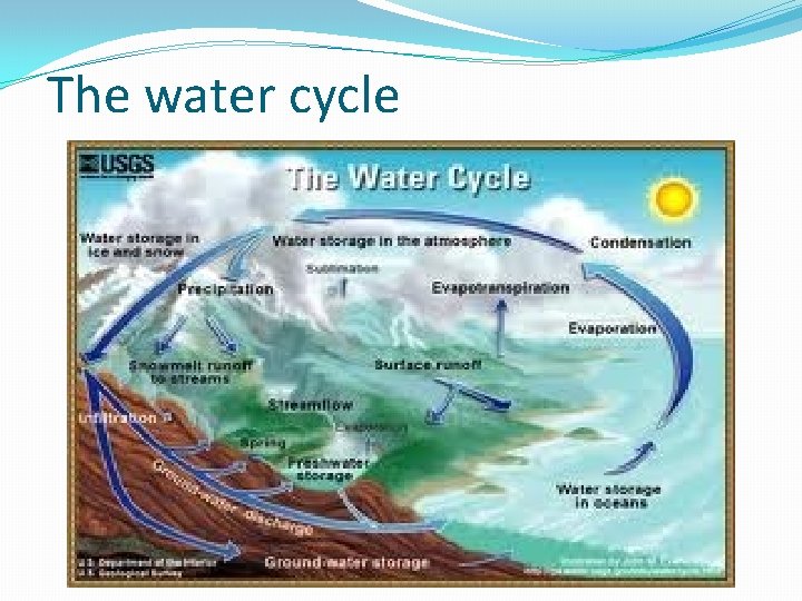 The water cycle 