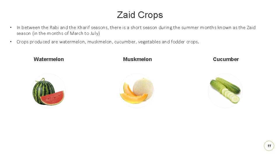 Zaid Crops • In between the Rabi and the Kharif seasons, there is a