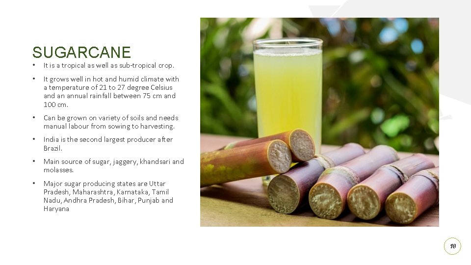 SUGARCANE • It is a tropical as well as sub-tropical crop. • It grows