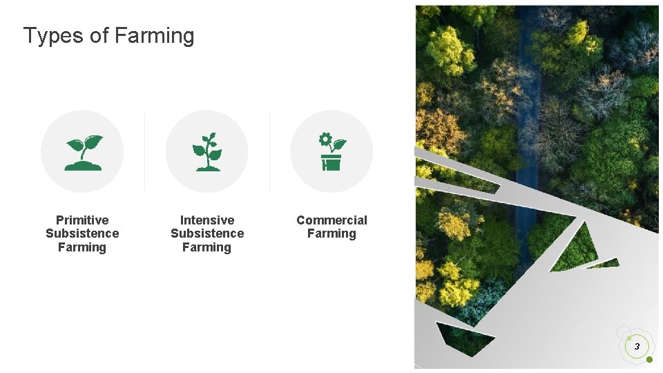 Types of Farming Primitive Subsistence Farming Intensive Subsistence Farming Commercial Farming 3 