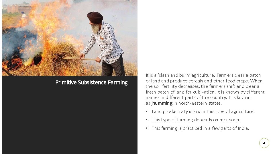 Primitive Subsistence Farming It is a ‘slash and burn’ agriculture. Farmers clear a patch