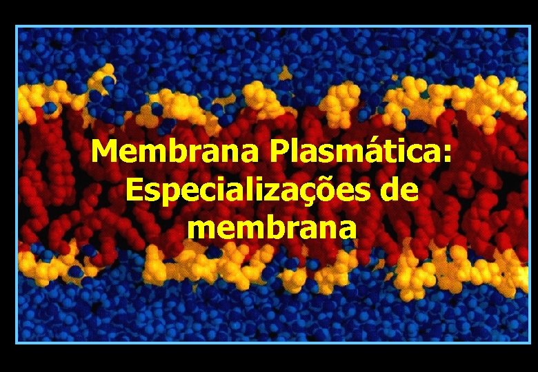 Membrana Plasmática: Especializações de membrana Membrana Plasmática: Especializações de membrana