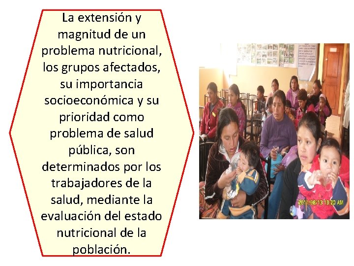 La extensión y magnitud de un problema nutricional, los grupos afectados, su importancia socioeconómica