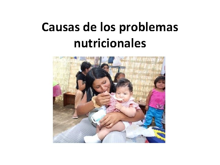 Causas de los problemas nutricionales 