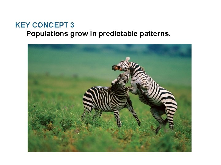 KEY CONCEPT 3 Populations grow in predictable patterns. 