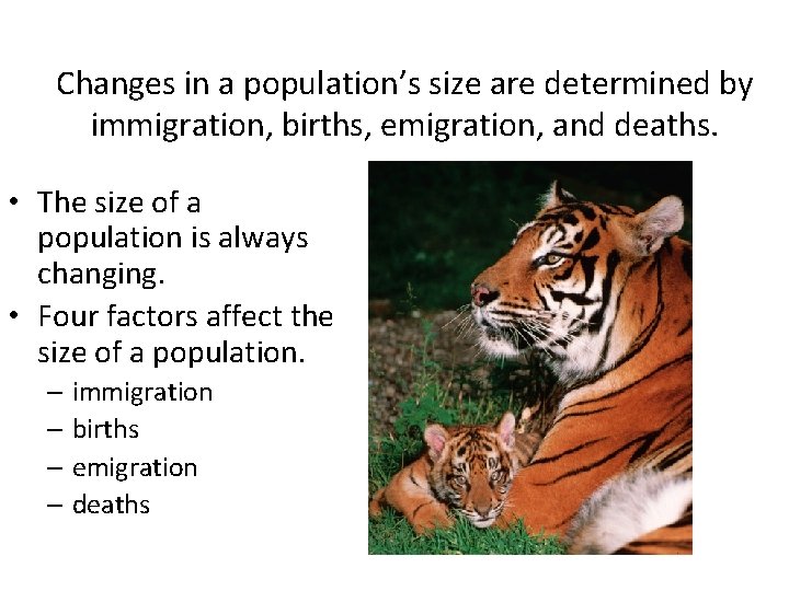 Changes in a population’s size are determined by immigration, births, emigration, and deaths. •