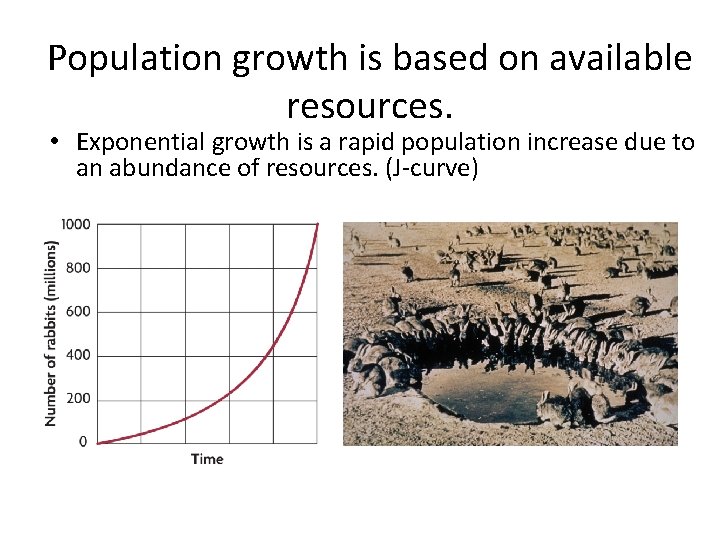 Population growth is based on available resources. • Exponential growth is a rapid population