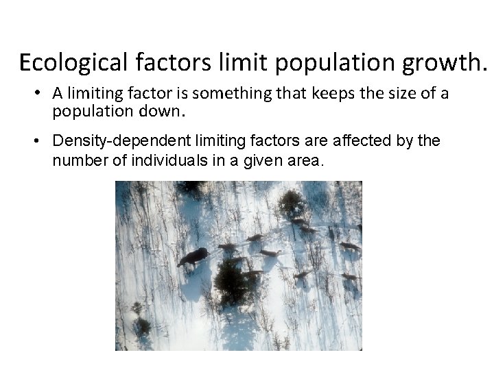 Ecological factors limit population growth. • A limiting factor is something that keeps the