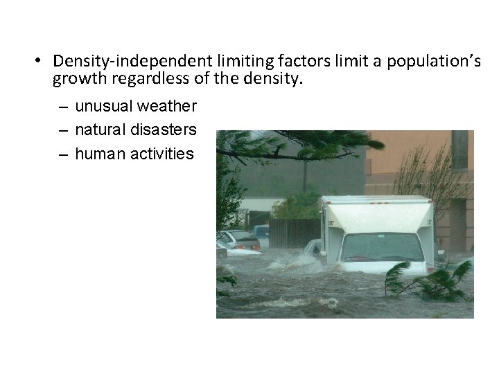  • Density-independent limiting factors limit a population’s growth regardless of the density. –