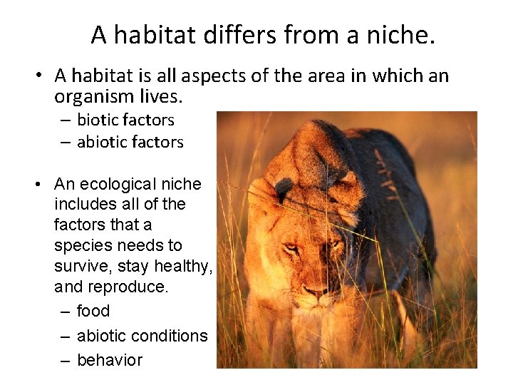A habitat differs from a niche. • A habitat is all aspects of the