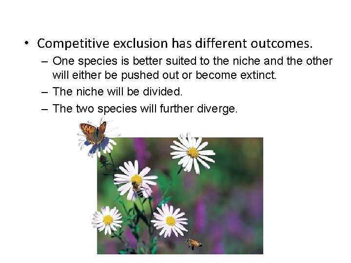  • Competitive exclusion has different outcomes. – One species is better suited to