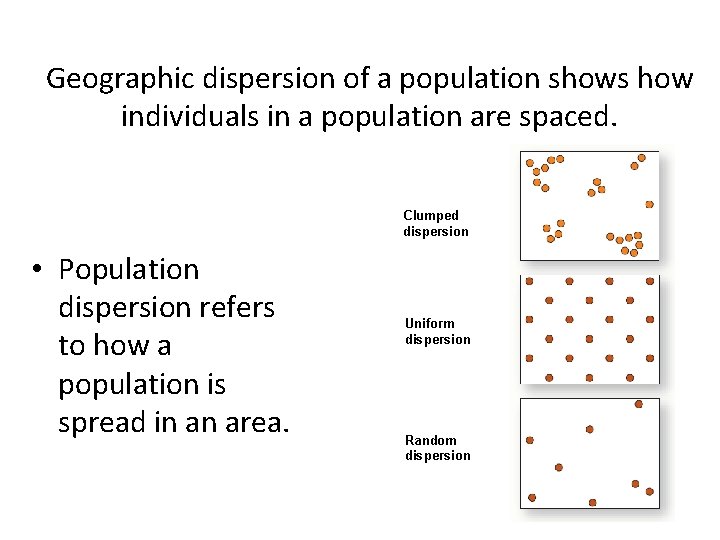Geographic dispersion of a population shows how individuals in a population are spaced. Clumped
