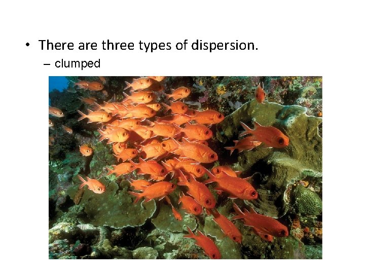  • There are three types of dispersion. – clumped 