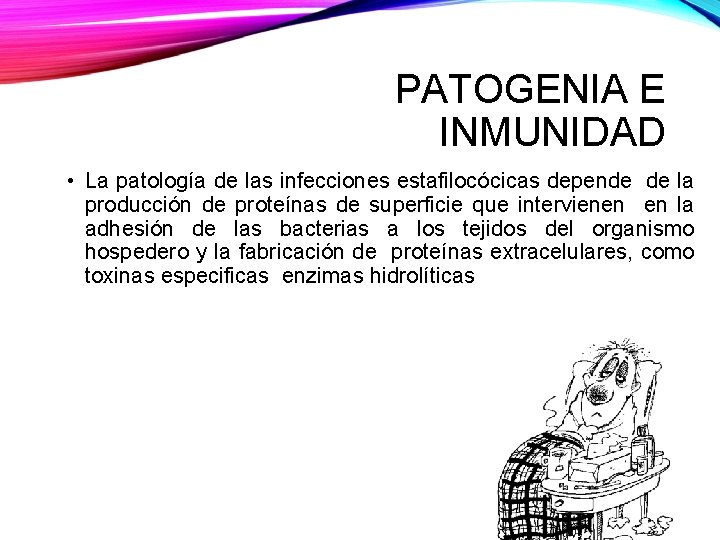 PATOGENIA E INMUNIDAD • La patología de las infecciones estafilocócicas depende de la producción