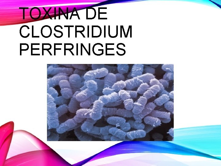 TOXINA DE CLOSTRIDIUM PERFRINGES 