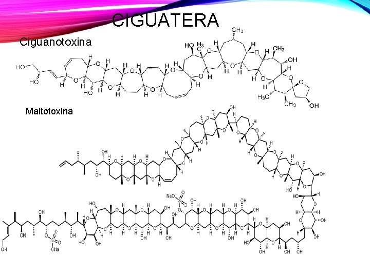 CIGUATERA Ciguanotoxina Maitotoxina 