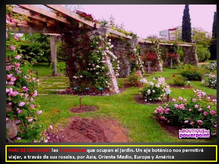 PARC DE CERVANTES las 5 hectáreas que ocupan el jardín. Un eje botánico nos