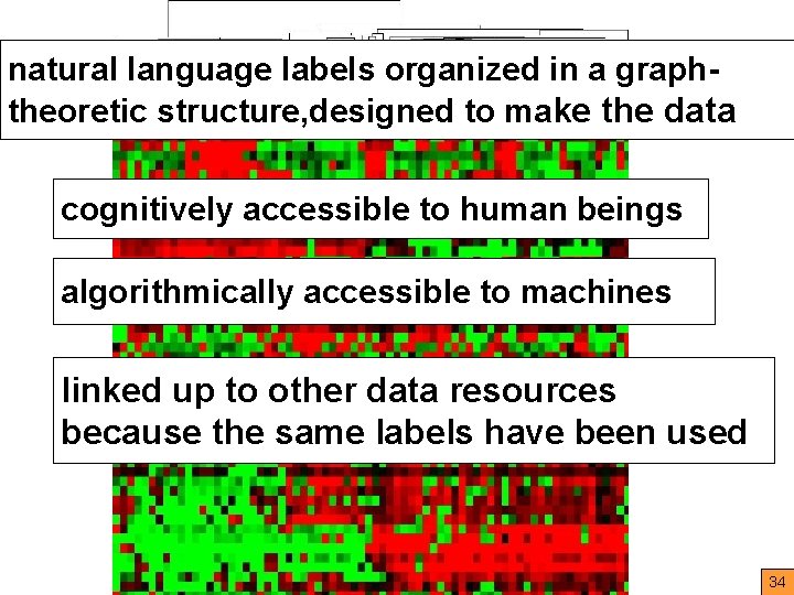 natural language labels organized in a graphtheoretic structure, designed to make the data cognitively