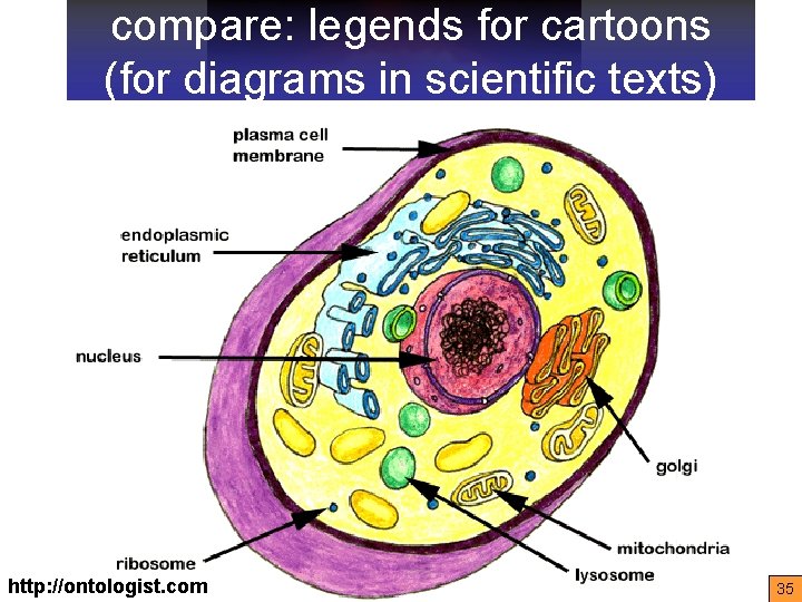 compare: legends for cartoons (for diagrams in scientific texts) http: //ontologist. com 35 