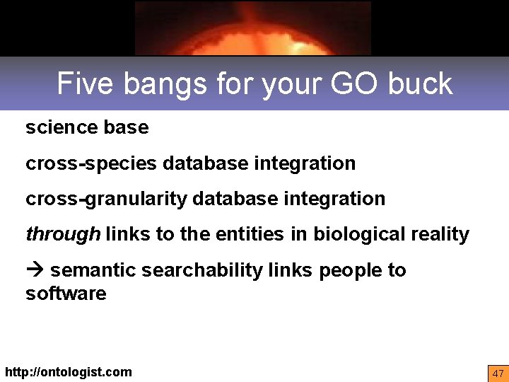 Five bangs for your GO buck science base cross-species database integration cross-granularity database integration