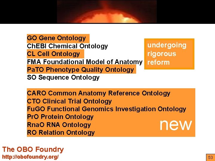 GO Gene Ontology undergoing Ch. EBI Chemical Ontology rigorous CL Cell Ontology FMA Foundational