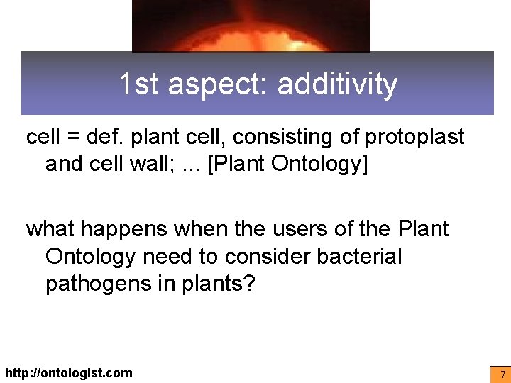 1 st aspect: additivity cell = def. plant cell, consisting of protoplast and cell