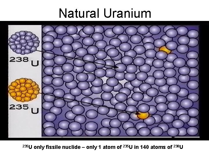 Natural Uranium 235 U only fissile nuclide – only 1 atom of 235 U