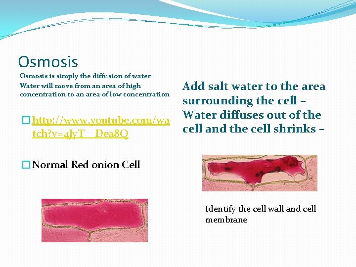 Osmosis is simply the diffusion of water Water will move from an area of