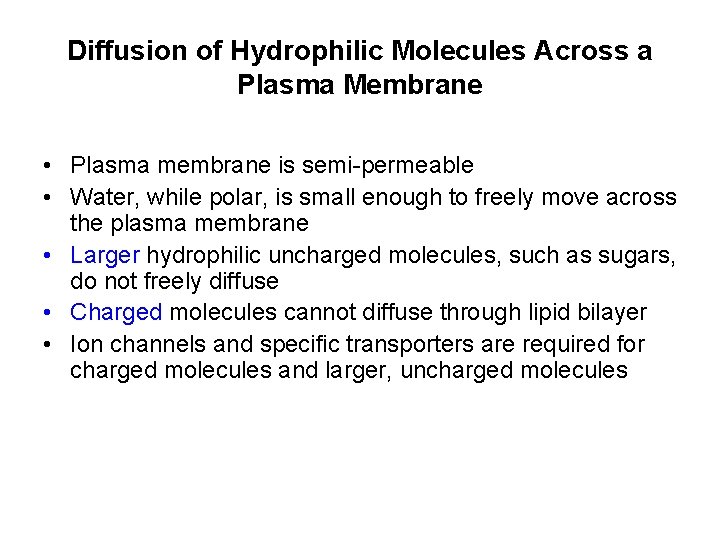 Diffusion of Hydrophilic Molecules Across a Plasma Membrane • Plasma membrane is semi-permeable •