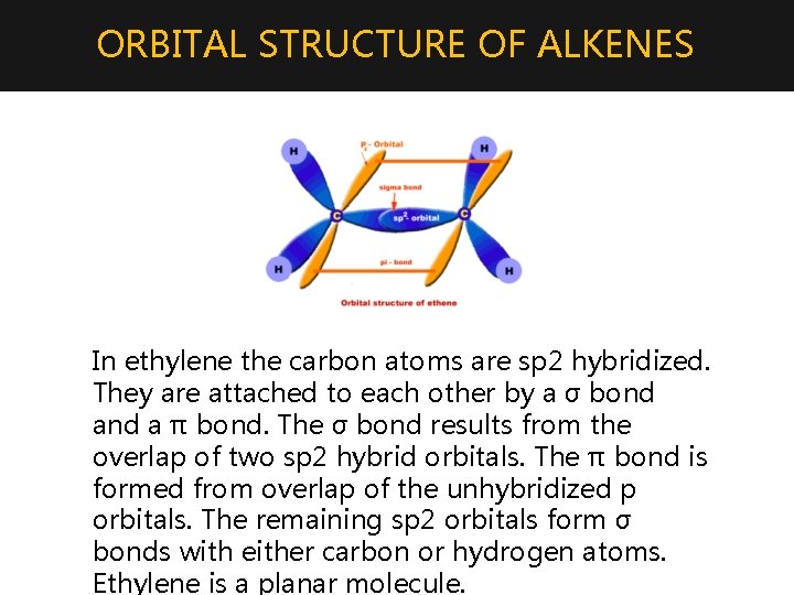 ORBITAL STRUCTURE OF ALKENES In ethylene the carbon atoms are sp 2 hybridized. They