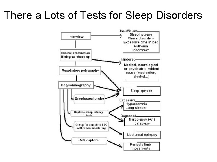 There a Lots of Tests for Sleep Disorders 