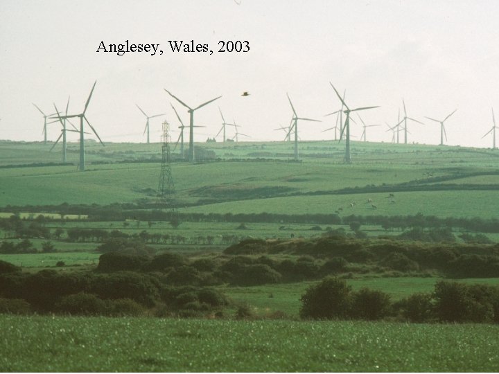 Anglesey, Wales, 2003 