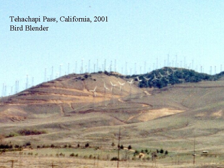 Tehachapi Pass, California, 2001 Bird Blender 