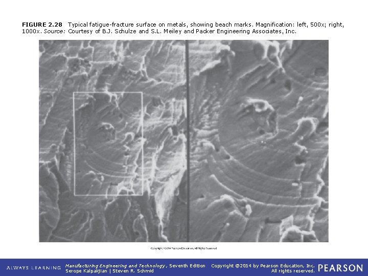 FIGURE 2. 28 Typical fatigue-fracture surface on metals, showing beach marks. Magnification: left, 500