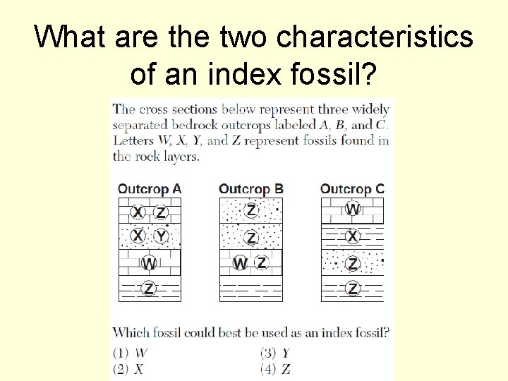 What are the two characteristics of an index fossil? 