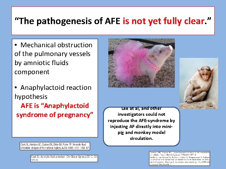 “The pathogenesis of AFE is not yet fully clear. ” • Mechanical obstruction of