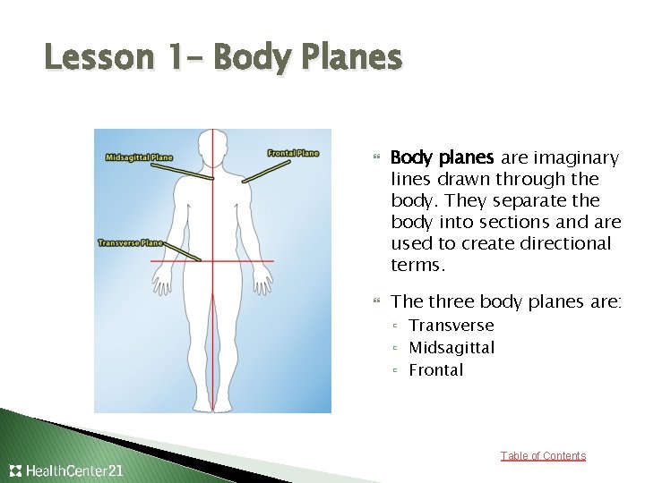Lesson 1– Body Planes Body planes are imaginary lines drawn through the body. They