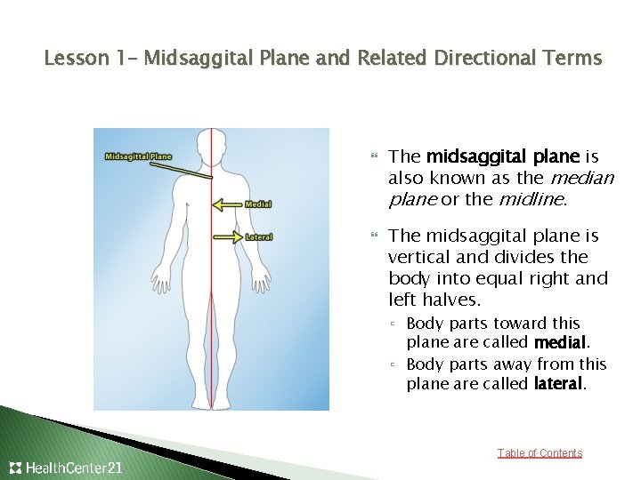 Lesson 1– Midsaggital Plane and Related Directional Terms The midsaggital plane is also known