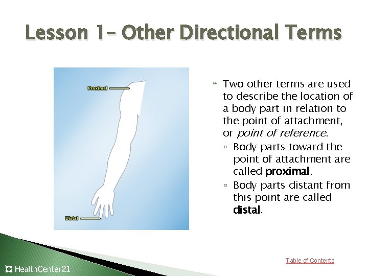 Lesson 1– Other Directional Terms Two other terms are used to describe the location