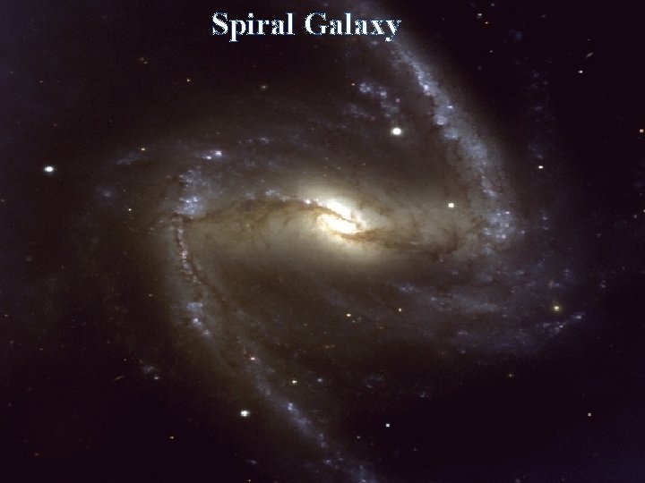 Spiral Galaxy 