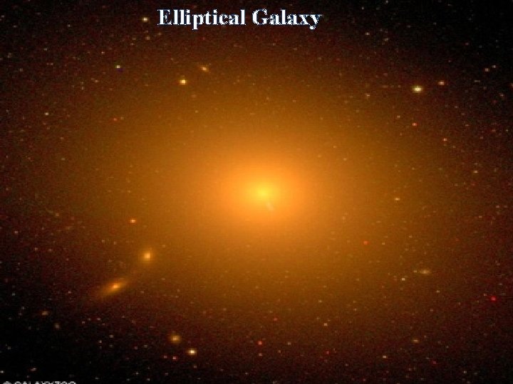 Elliptical Galaxy 