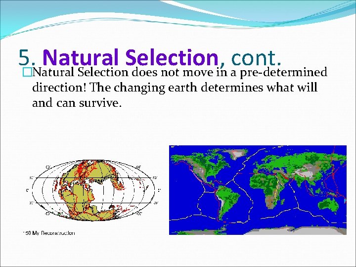 5. Natural Selection, cont. �Natural Selection does not move in a pre-determined direction! The