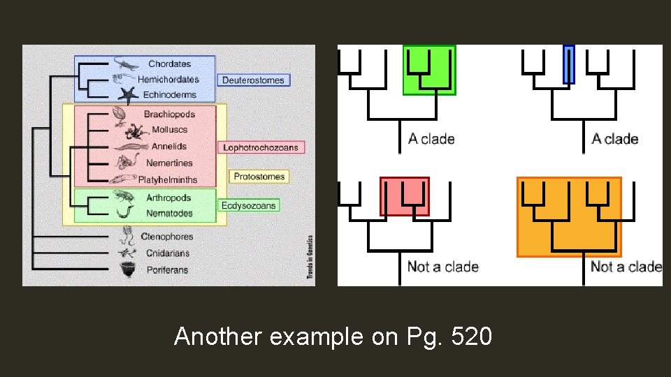 Another example on Pg. 520 