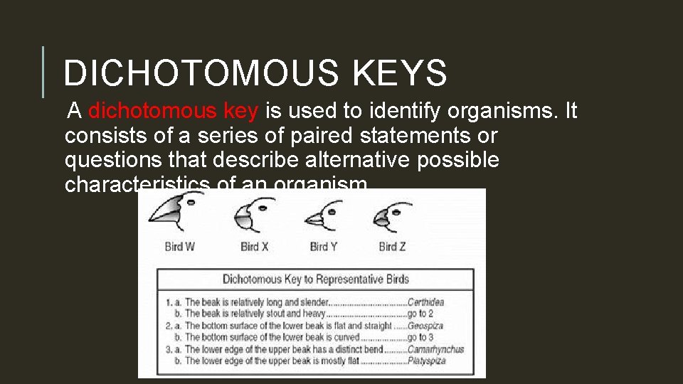 DICHOTOMOUS KEYS A dichotomous key is used to identify organisms. It consists of a