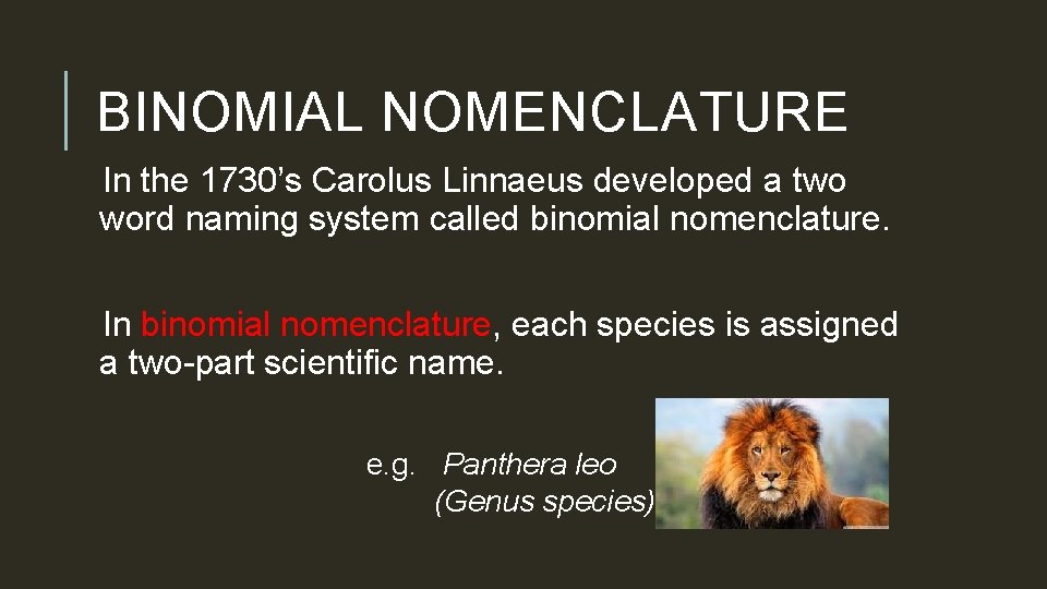 BINOMIAL NOMENCLATURE In the 1730’s Carolus Linnaeus developed a two word naming system called