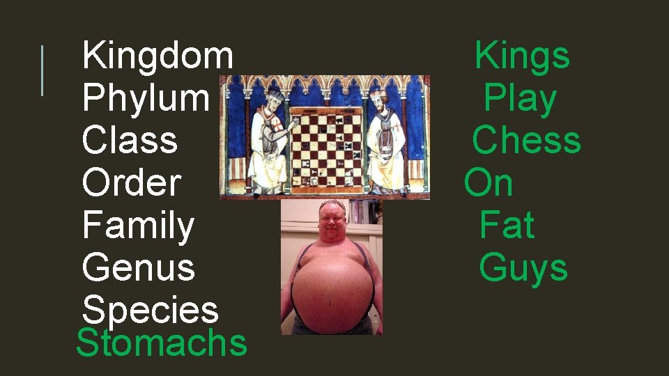 Kingdom Phylum Class Order Family Genus Species Stomachs Kings Play Chess On Fat Guys