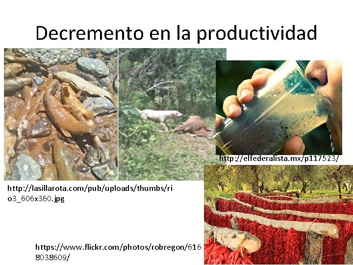 Decremento en la productividad http: //elfederalista. mx/p 117523/ http: //lasillarota. com/pub/uploads/thumbs/ri o 3_606 x